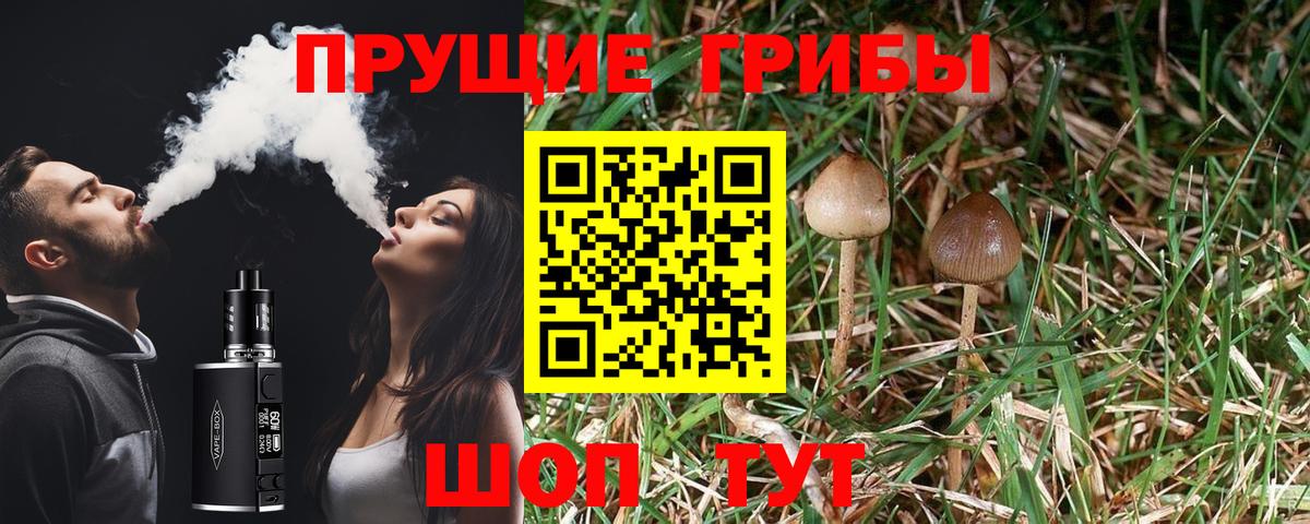 Нальчик  Галлюциногенные грибы Psilocybine cubensis  Вход с VPN  Псилоцибиновые грибы ЛСД 