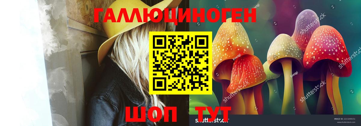 Псилоцибиновые грибы мицелий Нальчик